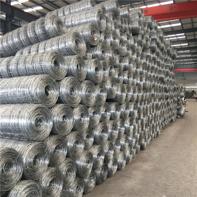 Hot Dipped Galvanized Hog wire 37