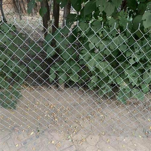 Chain Link fence  8ft height chain link fence