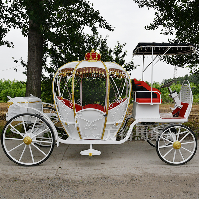 Horse drawn cinderella pumpkin carriage for wedding