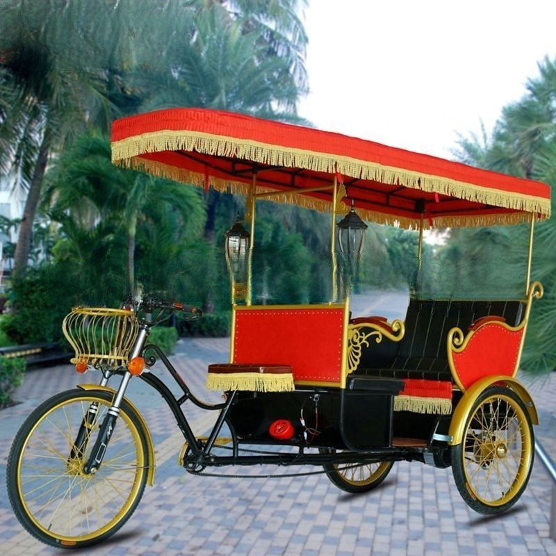 Electric tricycle for passenger sightseeing tuktuk rickshaw touring for historical city