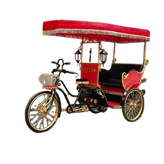 Electric tricycle for passenger sightseeing tuktuk rickshaw touring for historical city