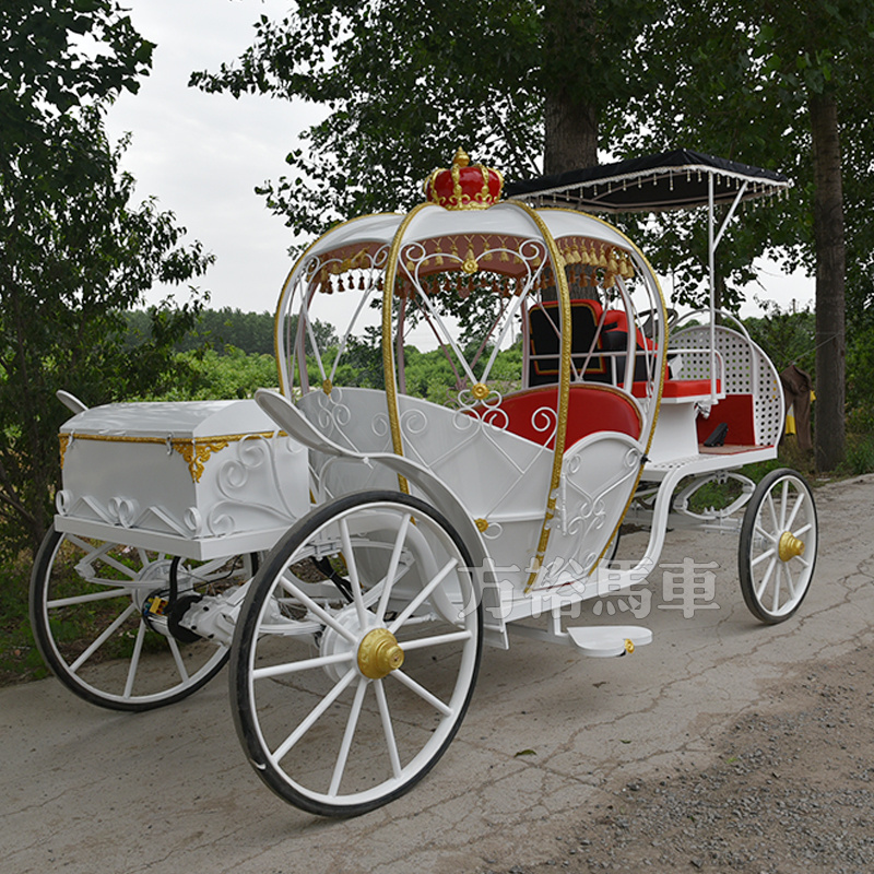 Horse drawn cinderella pumpkin carriage for wedding