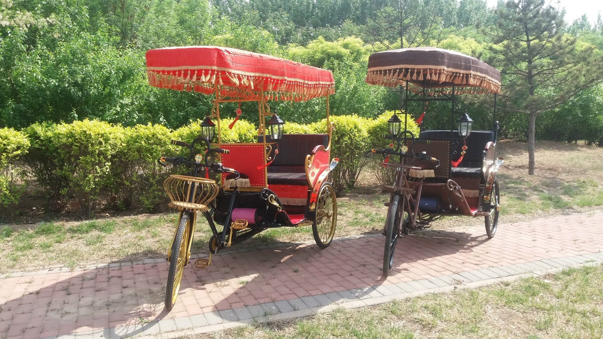 Electric tricycle for passenger sightseeing tuktuk rickshaw touring for historical city