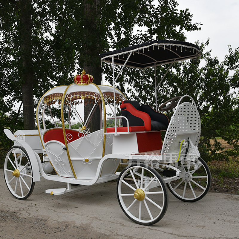 Horse drawn cinderella pumpkin carriage for wedding