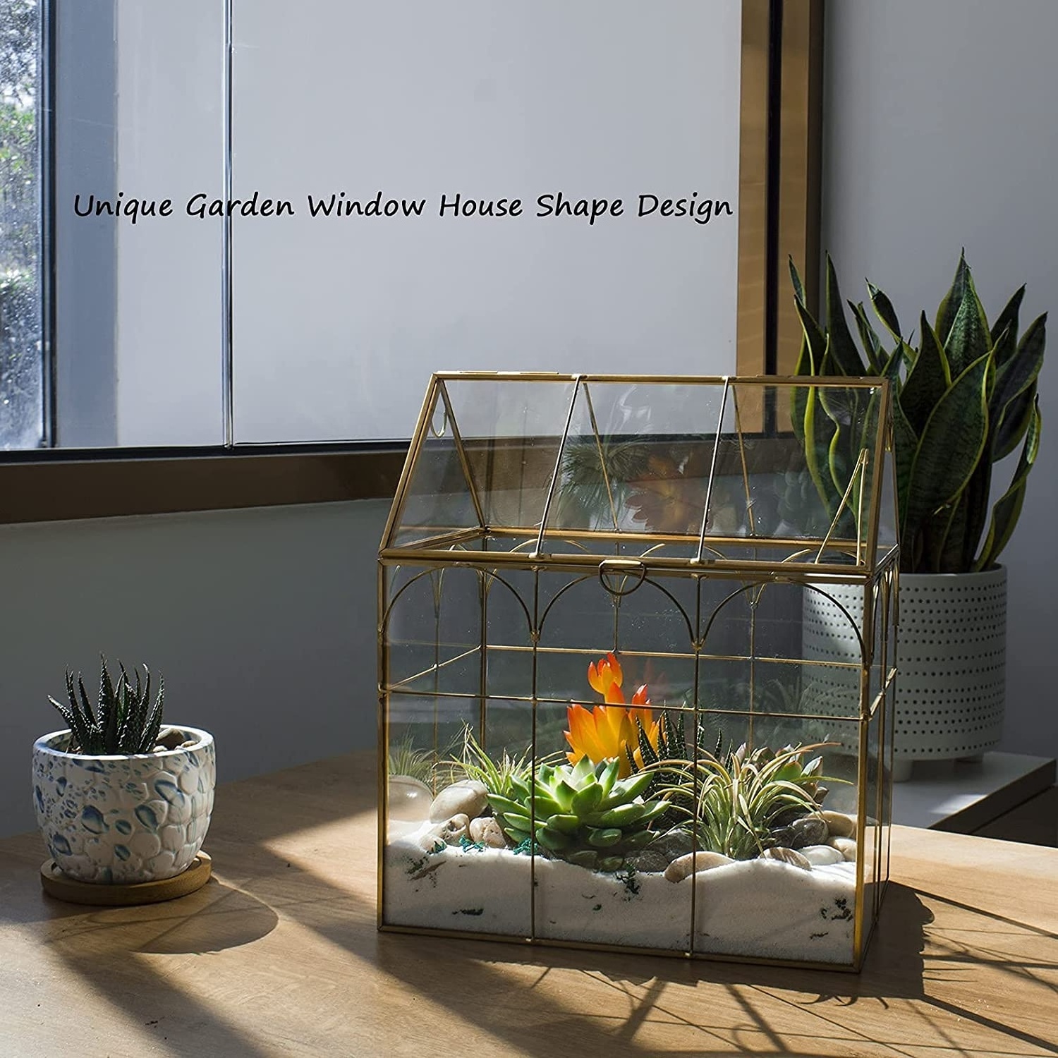 Indoor Tabletop Orchid Succulent Cacti Terrarium Container Box Tall Plant Terrarium Glass Greenhouse with Lid and Tray