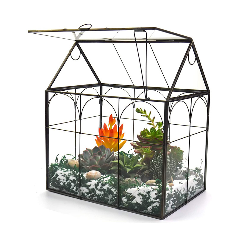 Hot Selling Orchid Succulent Cacti Terrarium Large Tall House Shape Plant Glass Greenhouse Terrarium with Lid