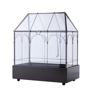 Indoor Tabletop Orchid Succulent Cacti Terrarium Container Box Tall Plant Terrarium Glass Greenhouse with Lid and Tray