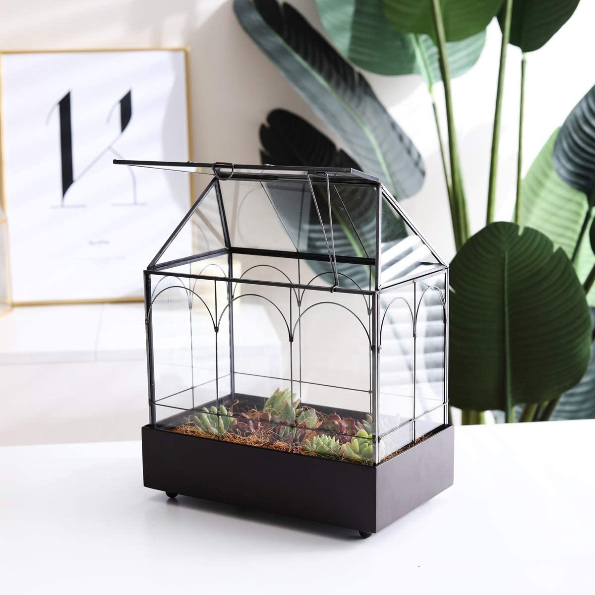 Indoor Tabletop Orchid Succulent Cacti Terrarium Container Box Tall Plant Terrarium Glass Greenhouse with Lid and Tray