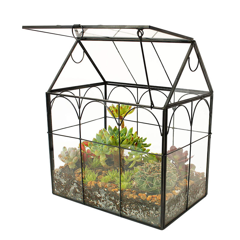 Indoor Tabletop Orchid Succulent Cacti Terrarium Kit Large Tall Plant Terrarium Glass Greenhouse Terrarium with Lid