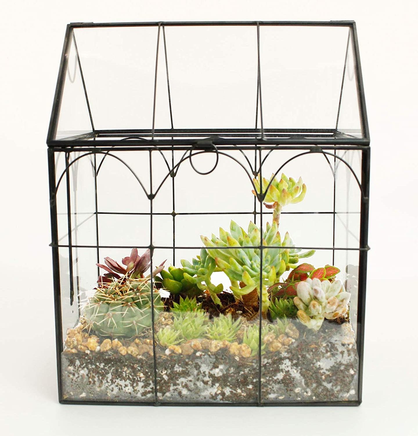 Indoor Tabletop Orchid Succulent Cacti Terrarium Kit Large Tall Plant Terrarium Glass Greenhouse Terrarium with Lid