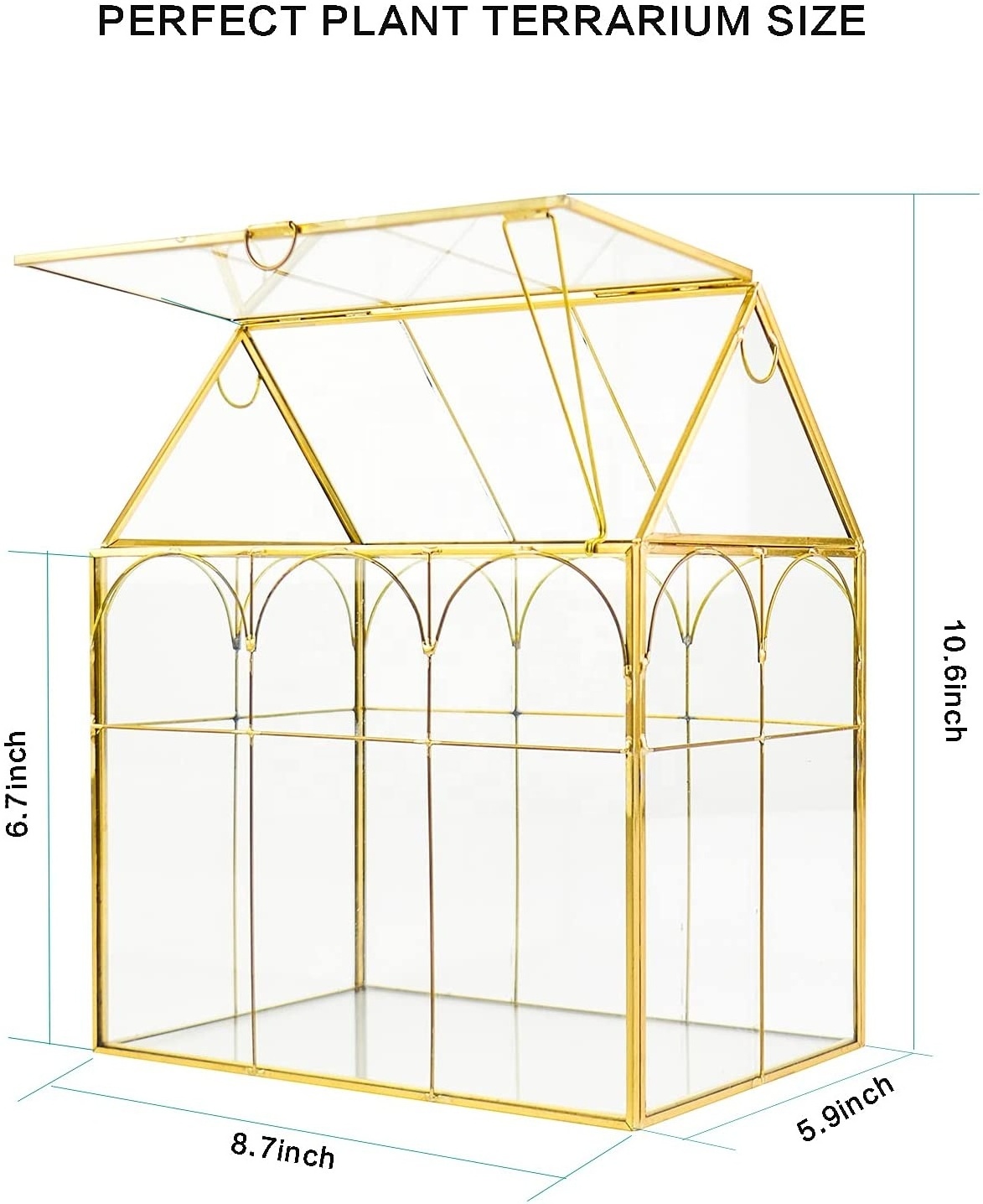 Tabletop Orchid Succulent Cacti Terrarium Kit House Shape Gold Black Large Tall Plant Terrarium Glass Greenhouse with Lid