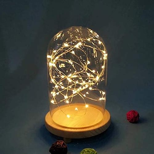 Large Size Office Home Decoration Glass Display Cloche Dome with Solid Wood Base for Plants Succulents Fairy Lights