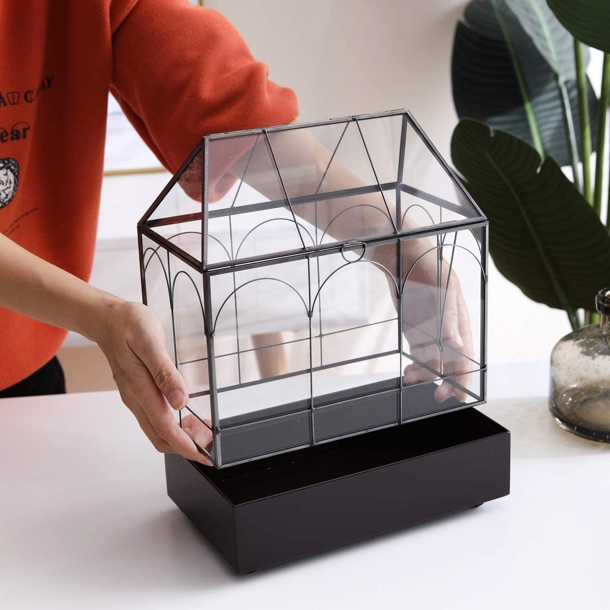 Indoor Tabletop Orchid Succulent Cacti Terrarium Container Box Tall Plant Terrarium Glass Greenhouse with Lid and Tray