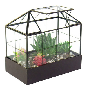 Indoor Tabletop Orchid Succulent Cacti Terrarium Kit Large Tall Plant Glass Greenhouse Terrarium with Lid and Tray