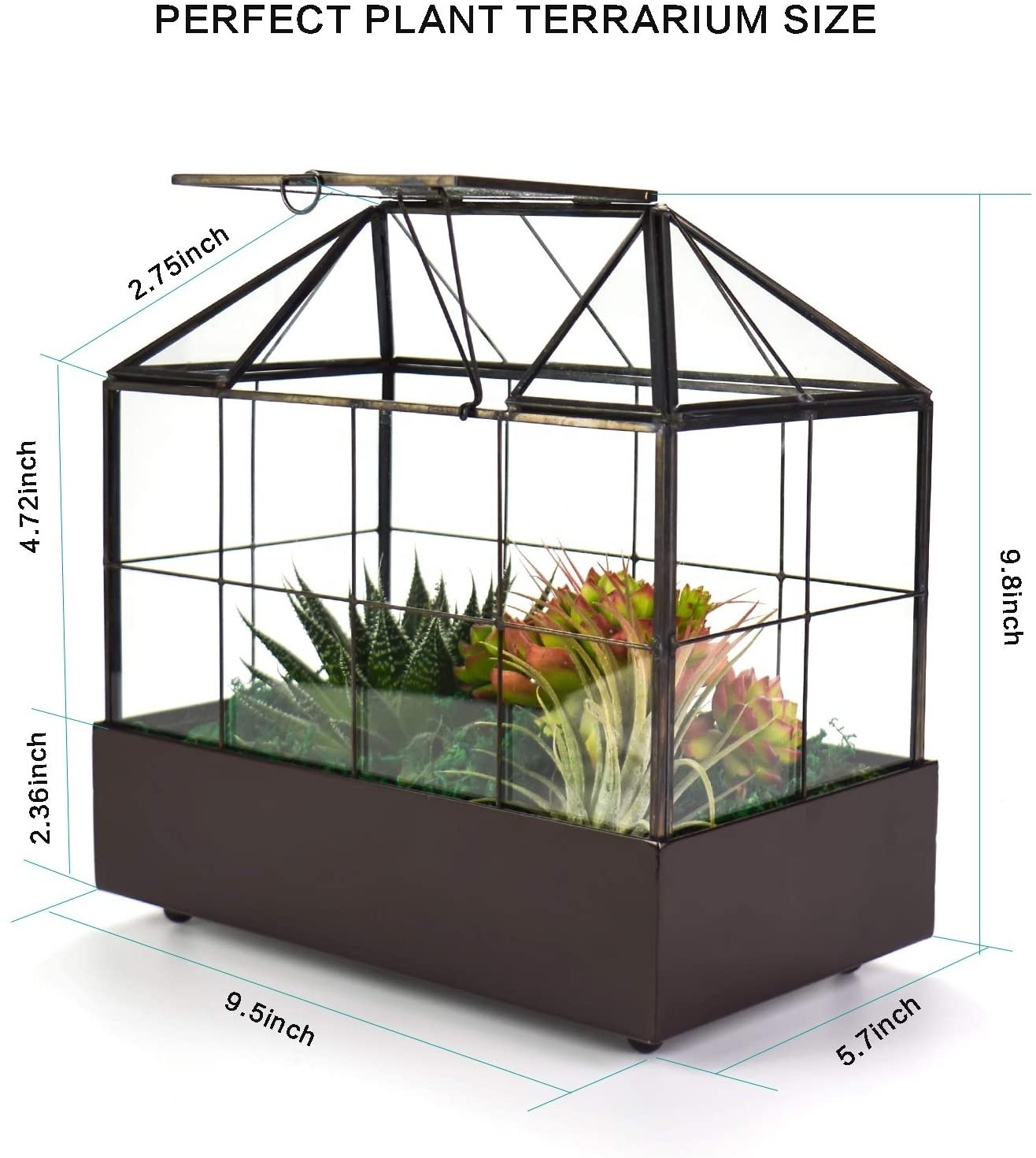 Indoor Tabletop Orchid Succulent Cacti Terrarium Kit Large Tall Plant Glass Greenhouse Terrarium with Lid and Tray