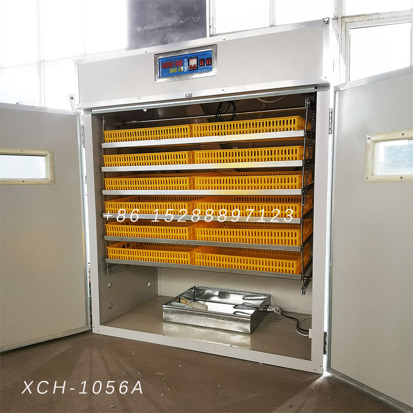 Poultry chicken 120 200 300 500 1000 eggs incubators mini 12V DC dual solar power automatic solar incubator for egg sale