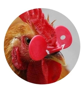 Chicken Peepers Poultry Product Chicken Eyes Glasses  Plastic Material  Poultry Eye Glasses