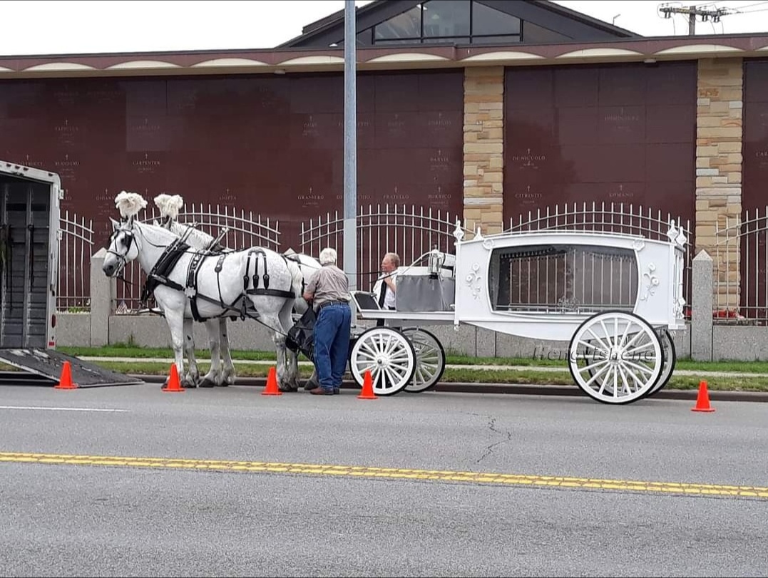 Funeral Coaches Manufacturer Coffin Horse Drawn Carriage /High Quality  Chariot Horse Drawn Hearse for Sale