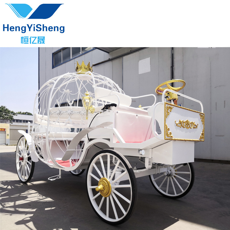 High Quality Personality Pumpkin Carriage/cinderella Horse-drawn Carriage For passenger/electric horseless carriage