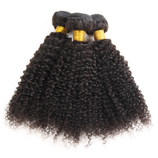 Top quality virgin brazilian afro kinky curly hair extension, kinky curly braiding hair for black hair