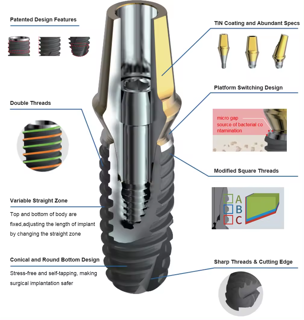 CE approved Dental Implant Abutment Series Surgical Kit Titanium Dental Implant Fixture And Screw And Abutment