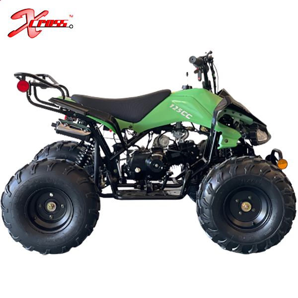 ATV for Children 2WD Quad Bikes Cheap 125cc Kids 12V 8 Inch Quad Gasoline 4x4 for Children with 12 Years 2 Months Chain Drive