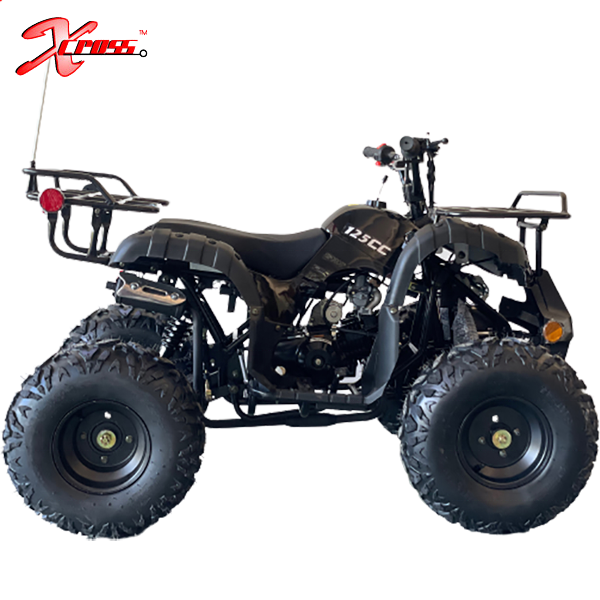 Cheap 125cc ATV Motorcycles Quad for Kids 12V 8 Inch Kids Gas 4 Wheeler Four Stroke Quad Atv 125cc 150cc Quad Bike Atv 110cc 2WD