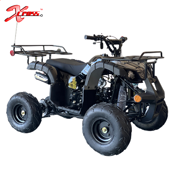 Cheap 125cc ATV Motorcycles Quad for Kids 12V 8 Inch Kids Gas 4 Wheeler Four Stroke Quad Atv 125cc 150cc Quad Bike Atv 110cc 2WD