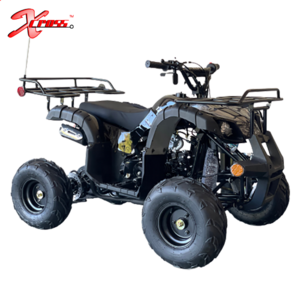 Cheap 125cc ATV Motorcycles Quad for Kids 12V 8 Inch Kids Gas 4 Wheeler Four Stroke Quad Atv 125cc 150cc Quad Bike Atv 110cc 2WD