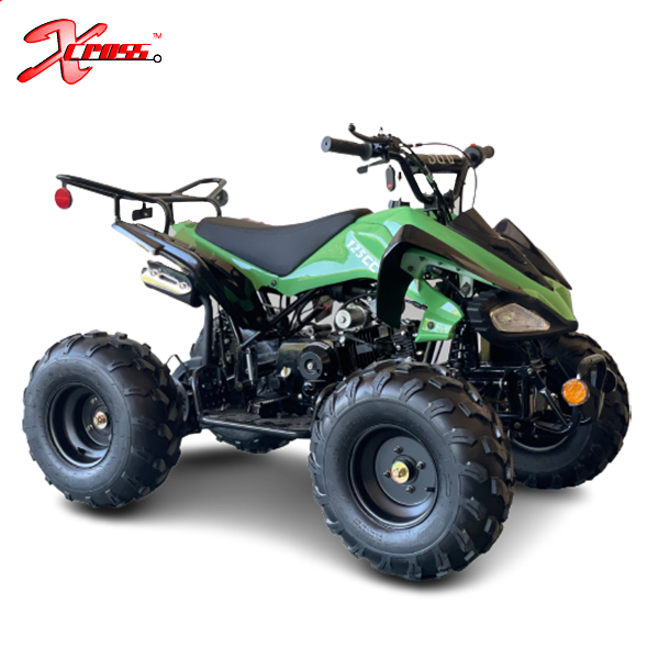 ATV for Children 2WD Quad Bikes Cheap 125cc Kids 12V 8 Inch Quad Gasoline 4x4 for Children with 12 Years 2 Months Chain Drive