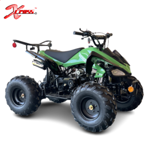 ATV for Children 2WD Quad Bikes Cheap 125cc Kids 12V 8 Inch Quad Gasoline 4x4 for Children with 12 Years 2 Months Chain Drive