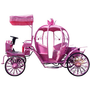 Customized Pink Electric Cinderella Pumpkin Horse Cart/Wedding wagon/horseless pumpkin carriage