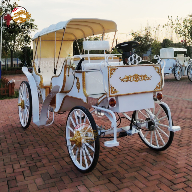 hot sale park  tourist horse carriage factory price /high quality electric sightseeing horse carriage with double-row