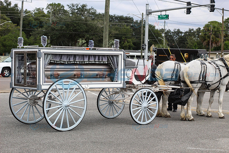 Antique Horse Drawn European Hearse for Sale Victorian Glass Covered King Funeral Carriage Brisbane Black Horse Drawn Hearse