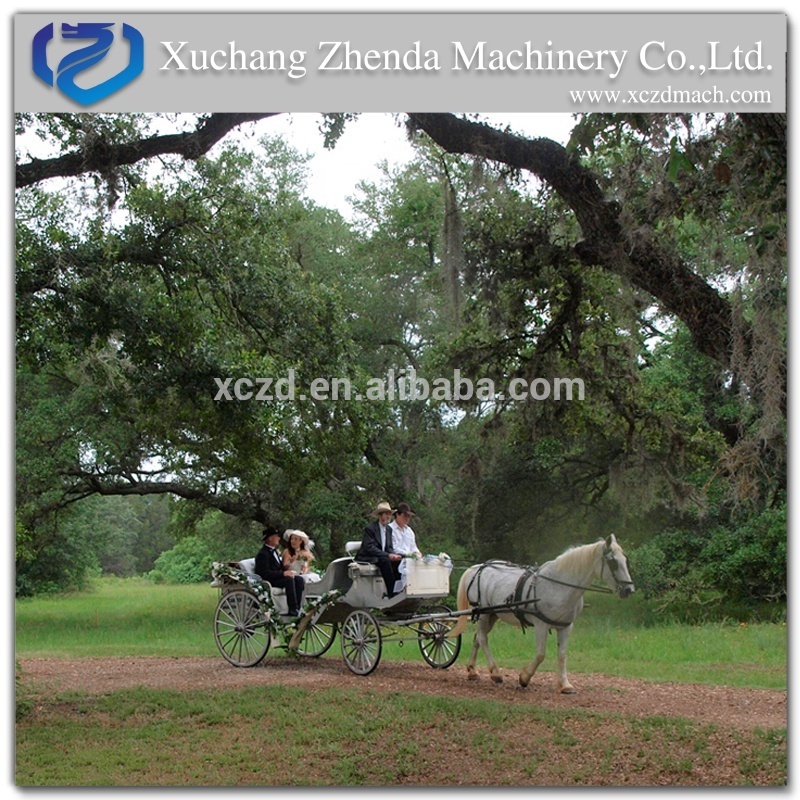 Tourism Horse Carriage for Wedding/ Sightseeing Horse Drawn Carriage for Sale