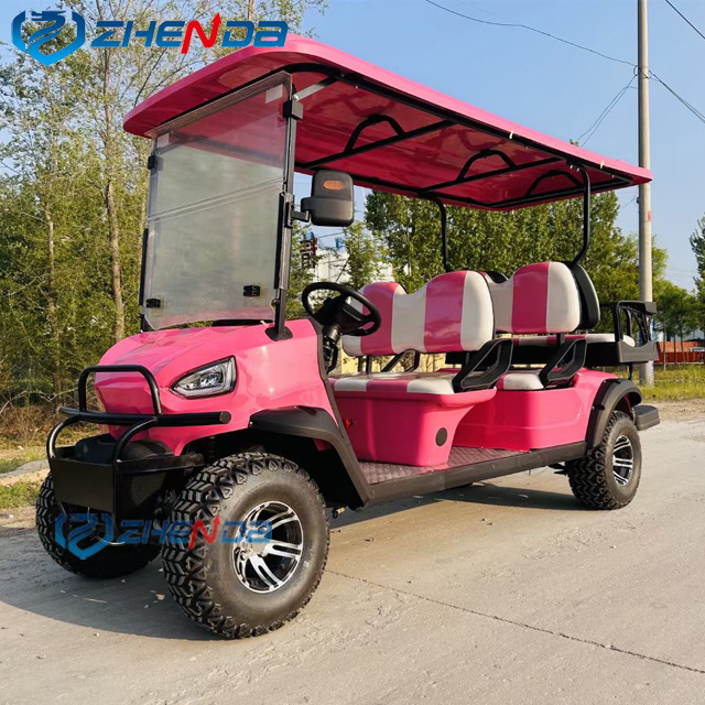 2+2 Seat Electric coco truck Golf car/High quality electric golf cart/Customized golf buggy for sale