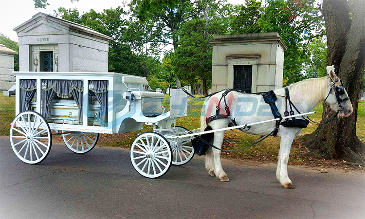 Customized white horse drawn hearse China Zhenda exports high quality hearse for sale