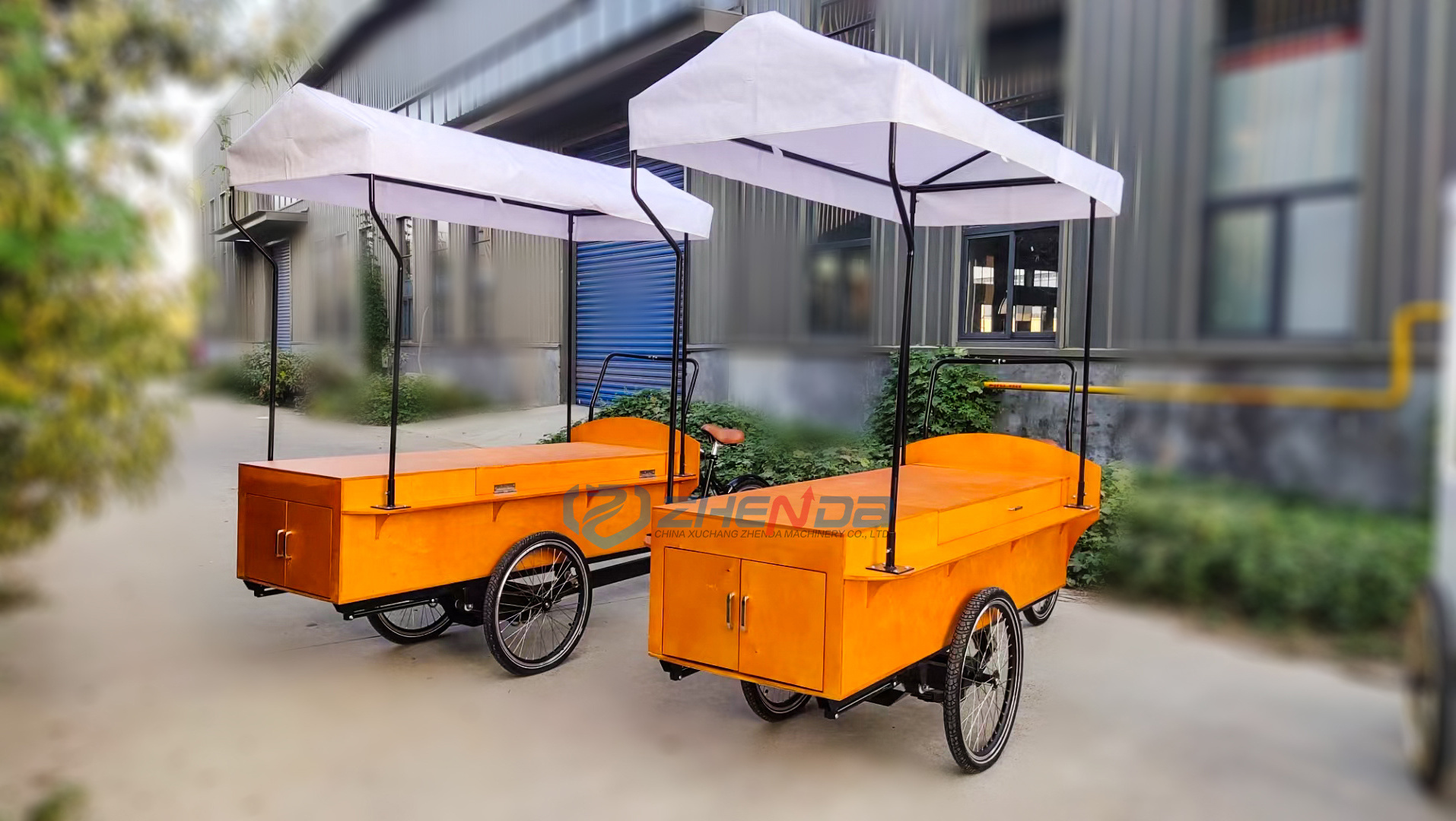 Mobile vending Hot dog Vehicle portable food stall kiosk outdoor use food counter design Mobile street food cart for sale