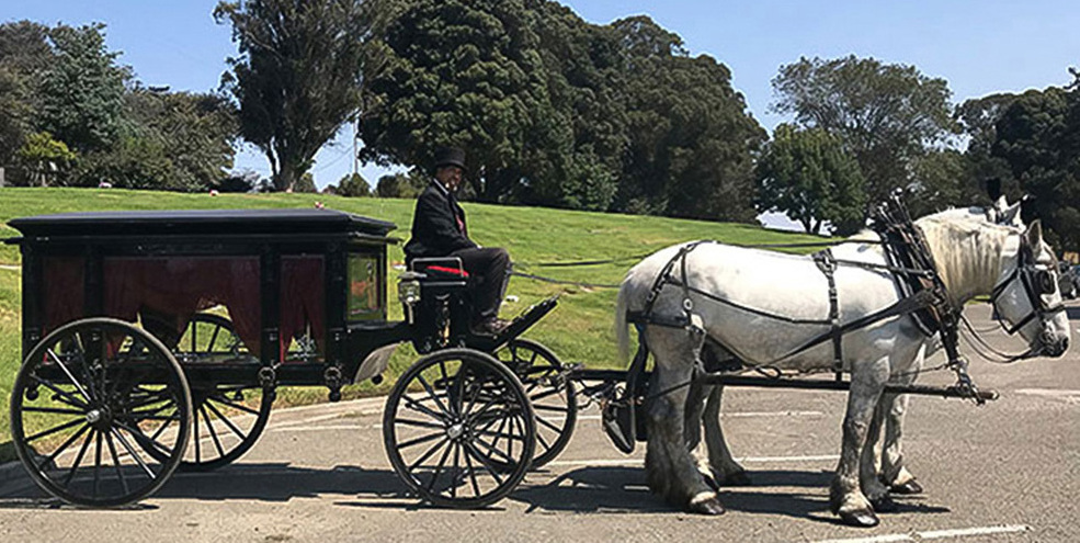 Unique Custom Funeral Horse Carriage / New Design Horse Hearse / Electric Hearse For Sale