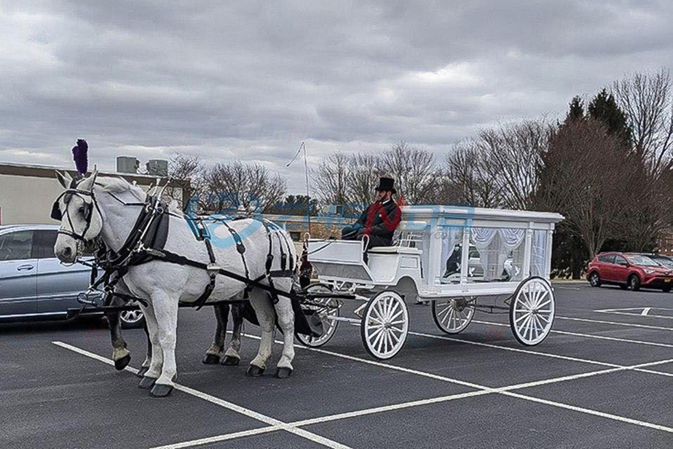 Hot sale customizable latest horse drawn hearse / high quality electric hearse for sale