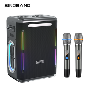 High quality Audio system 300W Surround Super Bass Wireless Portable karaoke Sound Equipment/Amplifiers/Speaker