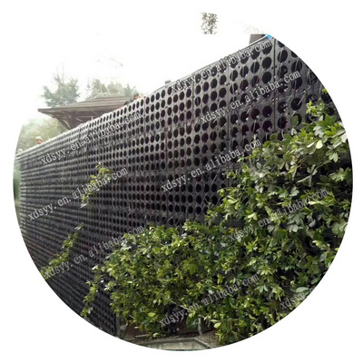 Black Vertical Green Living wall panels flower pots vertical green wall system Soilless hydroponic plant wall