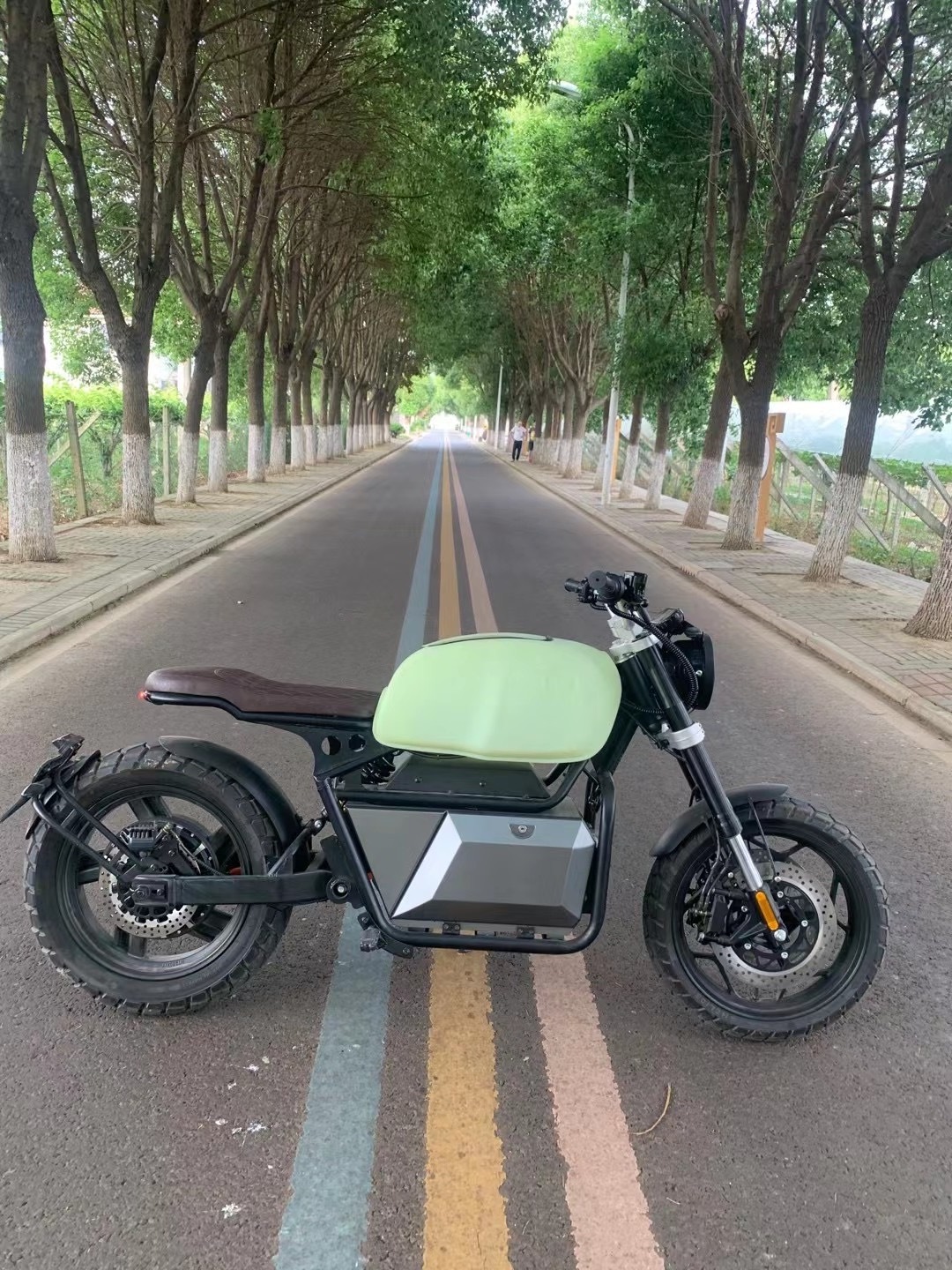 EEC approved Retro 60V 2000W 3000W powerful electric scooter Italy style electric motorcycle for adult 2wd electric fat tire bik