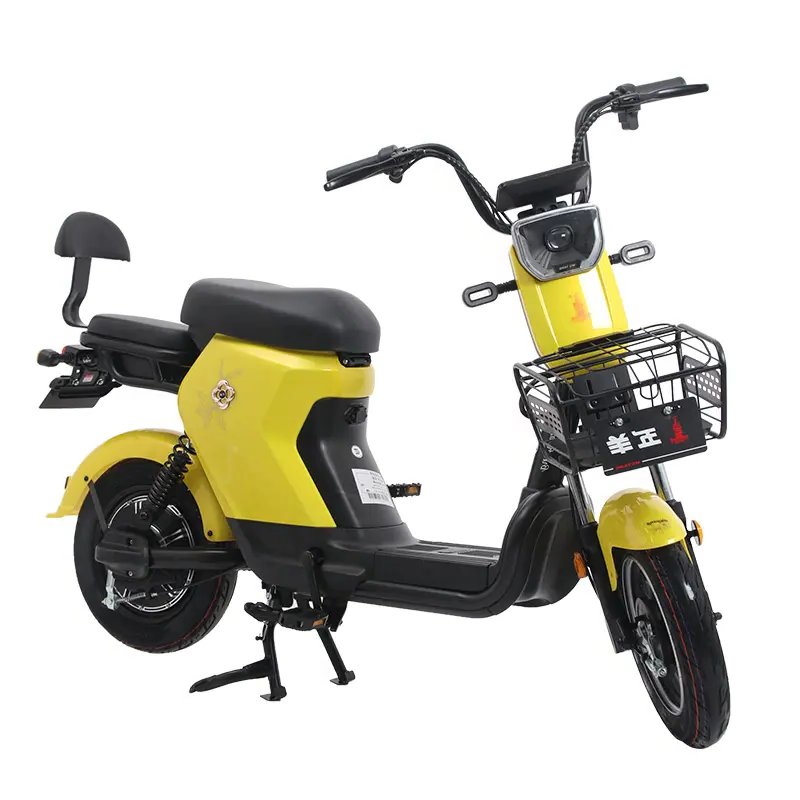 China New Type electric scooter 2 seater 48V 350W Electric City Bike EV bike E Cycle Electric Bicycle