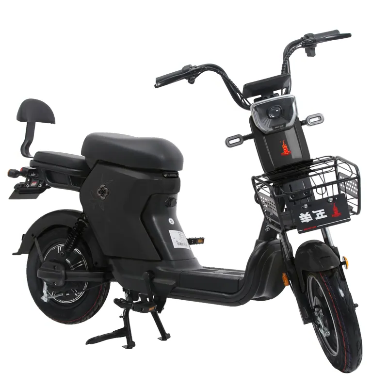 China New Type electric scooter 2 seater 48V 350W Electric City Bike EV bike E Cycle Electric Bicycle