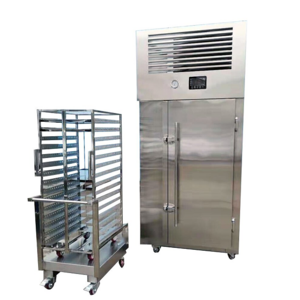 TCA hot sale vertical deep freezer commercial small blast freezer quickly