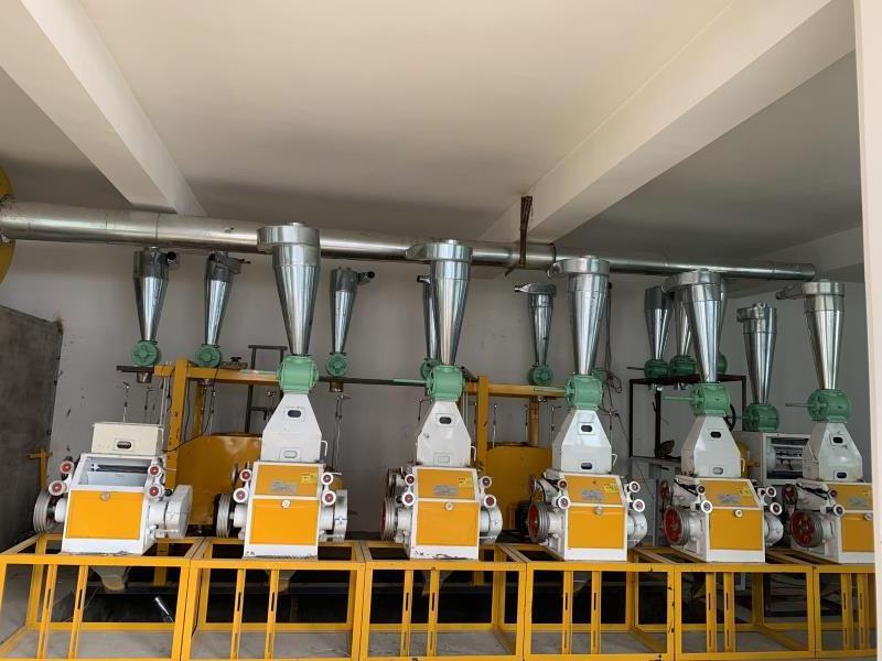 10TPD 15TPD 18TPD 20TPD wheat flour milling machine wheat flour mill machinery maida  semolina