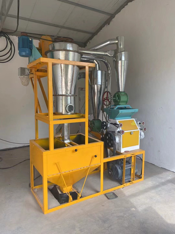 Mini Home Complete Fully Automatic Small Wheat Flour Mill Rice Mill Maize Milling Machine New Style 5TPD 10TPD Kenya Shop Online