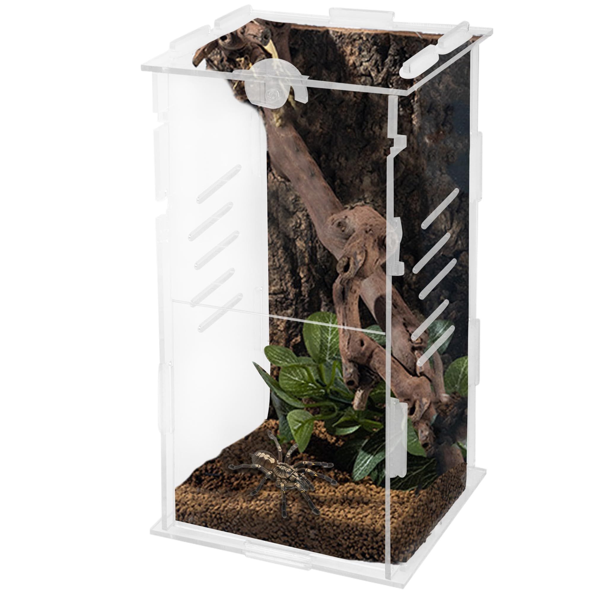 Wholesales Custom Clear Acrylic Reptile Terrarium Feeding Breeding Box with Cover