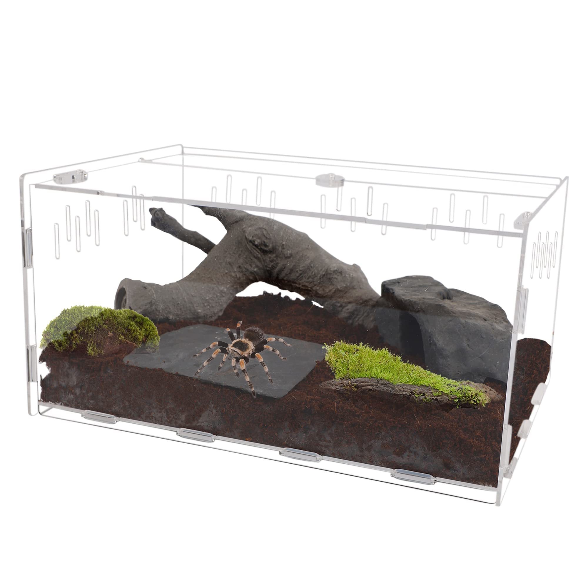 Wholesales Custom Clear Acrylic Reptile Terrarium Feeding Breeding Box with Cover